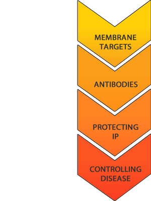 Welcome Receptor Antibodies Pty Ltd